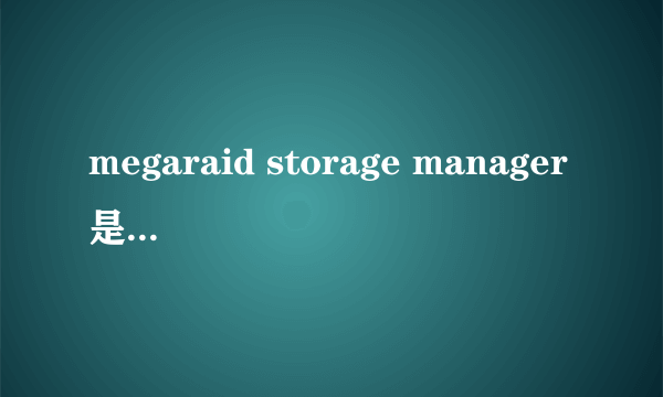 megaraid storage manager是干什么用的软件