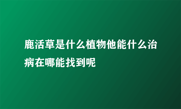 鹿活草是什么植物他能什么治病在哪能找到呢