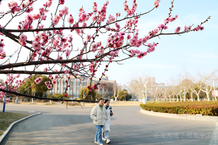 安徽财经大学代码是什么？