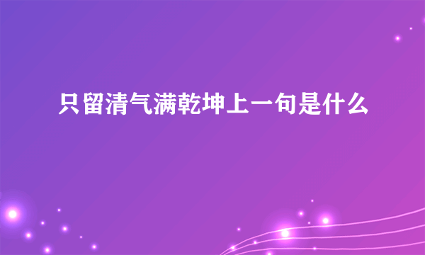 只留清气满乾坤上一句是什么