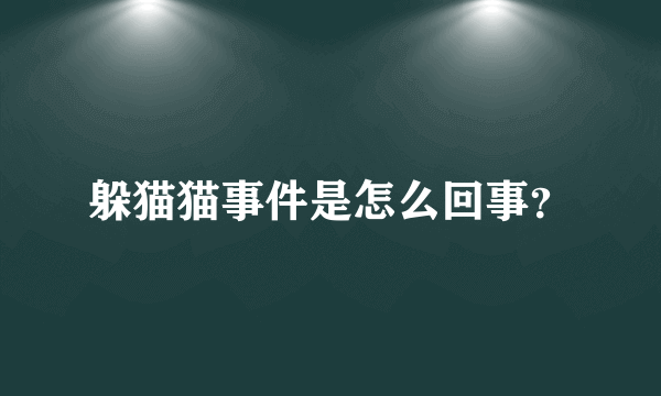 躲猫猫事件是怎么回事？