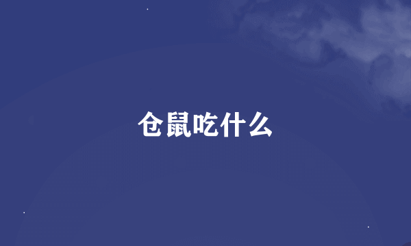 仓鼠吃什么