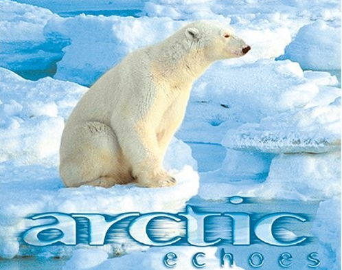 音响上面写着ARCTIC 是什么意思