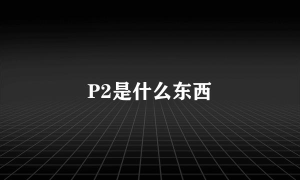 P2是什么东西