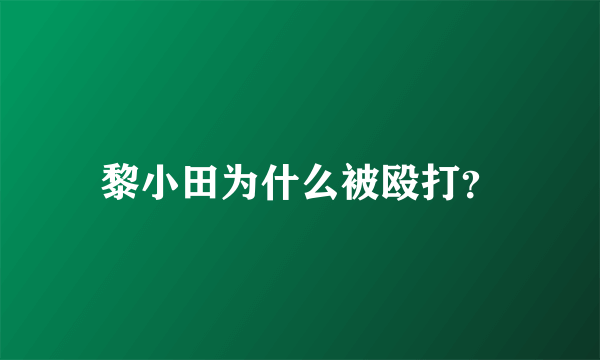 黎小田为什么被殴打？