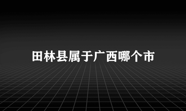 田林县属于广西哪个市