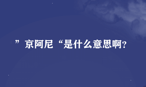 ”京阿尼“是什么意思啊？