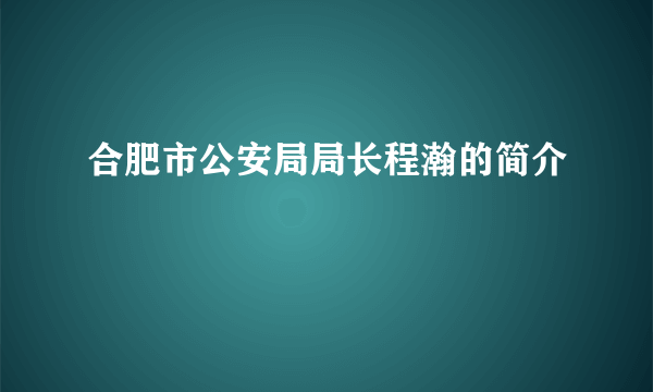 合肥市公安局局长程瀚的简介