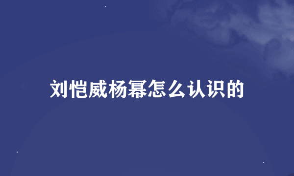 刘恺威杨幂怎么认识的