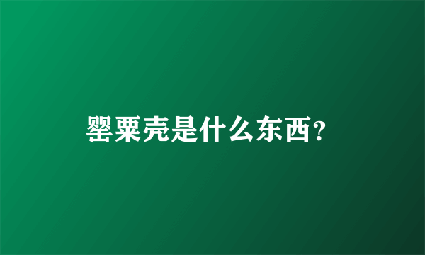 罂粟壳是什么东西？