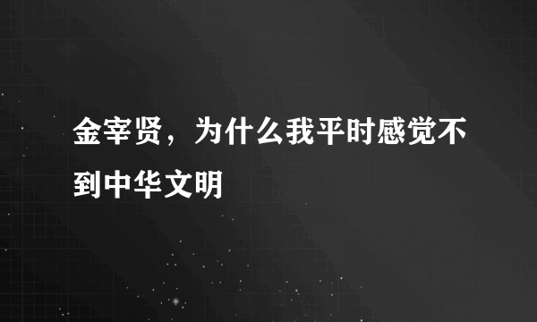 金宰贤，为什么我平时感觉不到中华文明