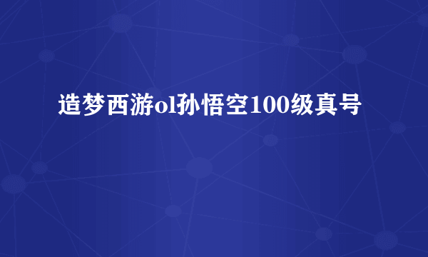 造梦西游ol孙悟空100级真号