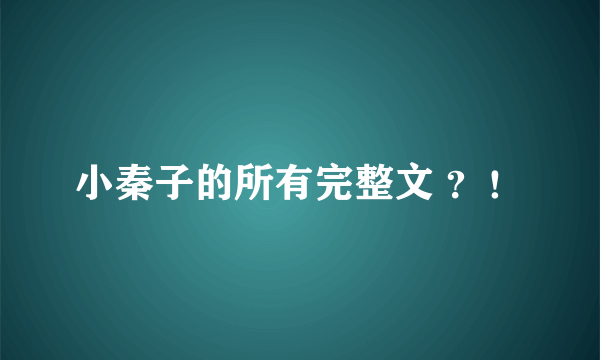 小秦子的所有完整文 ？！