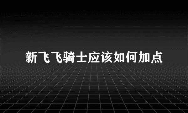 新飞飞骑士应该如何加点