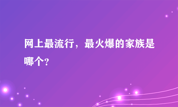 网上最流行，最火爆的家族是哪个？