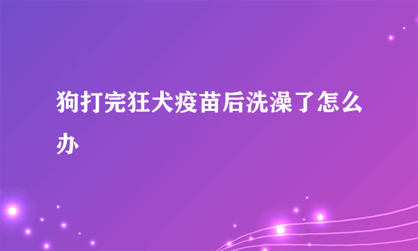 狗打完狂犬疫苗后洗澡了怎么办