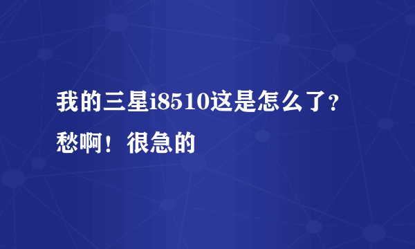 我的三星i8510这是怎么了？愁啊！很急的