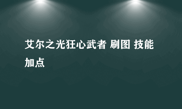 艾尔之光狂心武者 刷图 技能加点