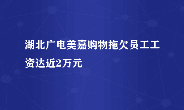 湖北广电美嘉购物拖欠员工工资达近2万元