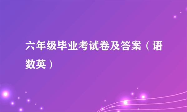 六年级毕业考试卷及答案（语数英）