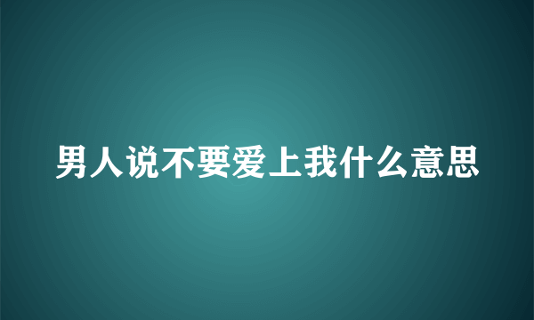 男人说不要爱上我什么意思