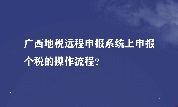 广西地税远程申报系统上申报个税的操作流程？