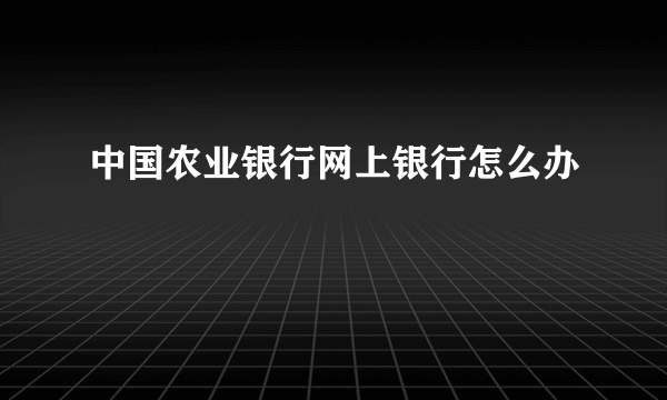 中国农业银行网上银行怎么办