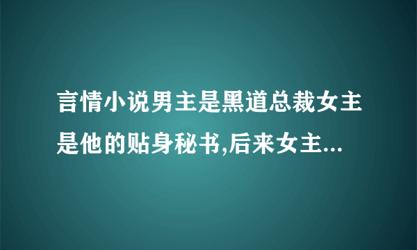 言情小说男主是黑道总裁女主是他的贴身秘书,后来女主走了男主发现自己爱上女主,又去找她