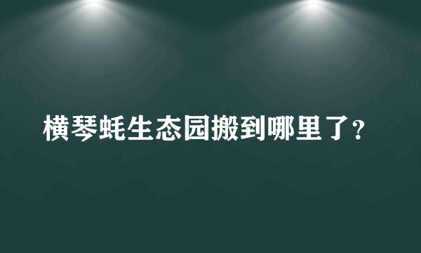 横琴蚝生态园搬到哪里了？