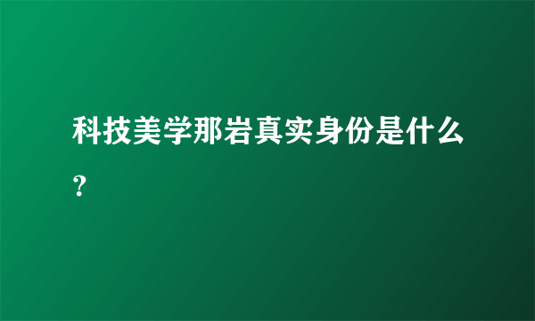 科技美学那岩真实身份是什么？