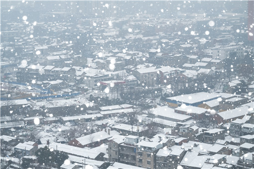 黑龙江全省发布暴雪红色预警，暴雪的等级是如何划分的？