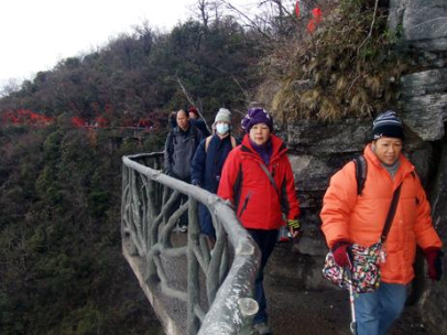 天门山景区游客暴力采摘果子，对此你怎么看？