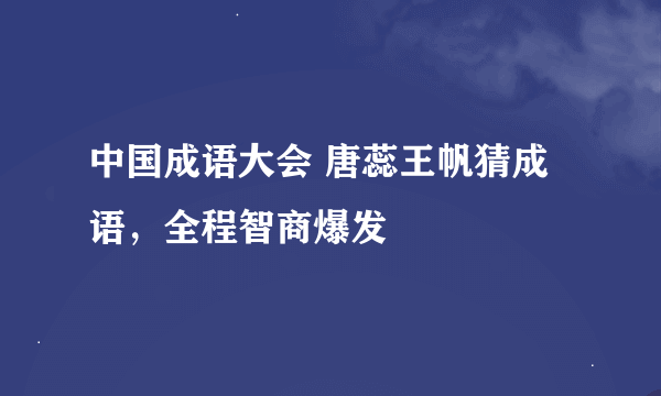 中国成语大会 唐蕊王帆猜成语，全程智商爆发