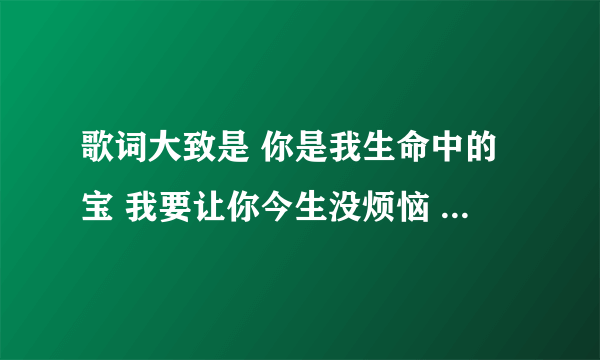 歌词大致是 你是我生命中的宝 我要让你今生没烦恼 请问歌名是什么？