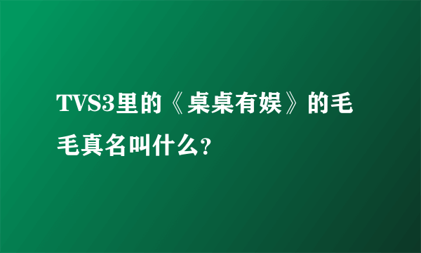 TVS3里的《桌桌有娱》的毛毛真名叫什么？