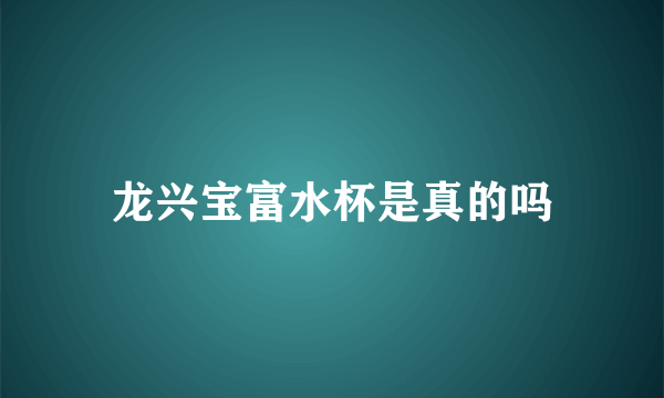 龙兴宝富水杯是真的吗