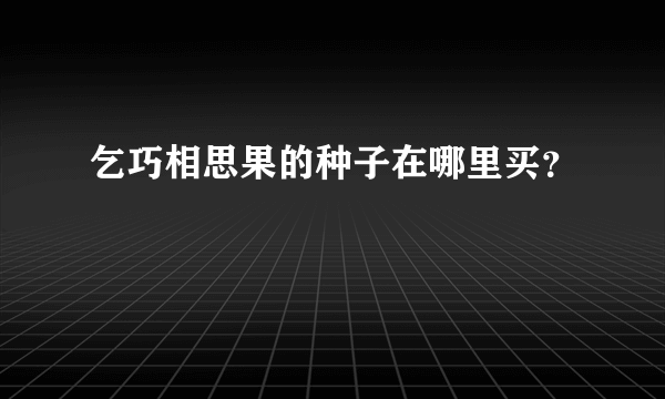 乞巧相思果的种子在哪里买？