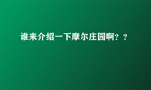 谁来介绍一下摩尔庄园啊？？