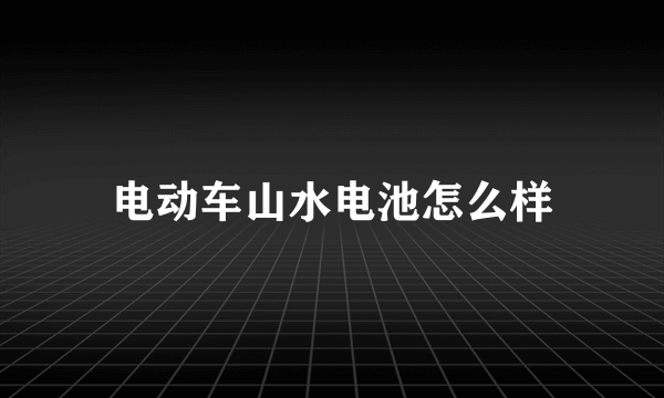 电动车山水电池怎么样