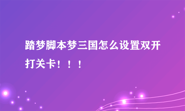 踏梦脚本梦三国怎么设置双开打关卡！！！