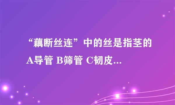 “藕断丝连”中的丝是指茎的 A导管 B筛管 C韧皮纤维 D木纤维