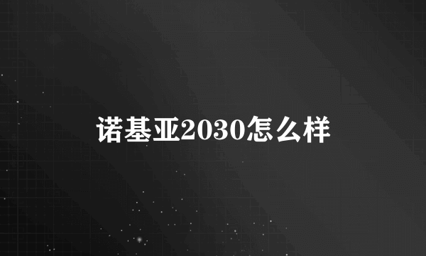 诺基亚2030怎么样