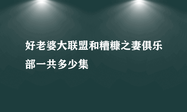 好老婆大联盟和糟糠之妻俱乐部一共多少集