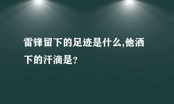 雷锋留下的足迹是什么,他洒下的汗滴是？