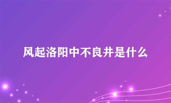 风起洛阳中不良井是什么