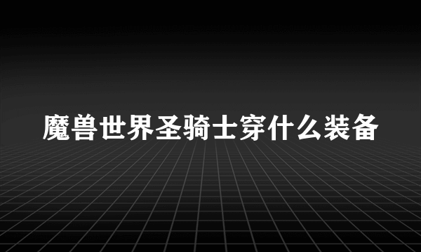 魔兽世界圣骑士穿什么装备