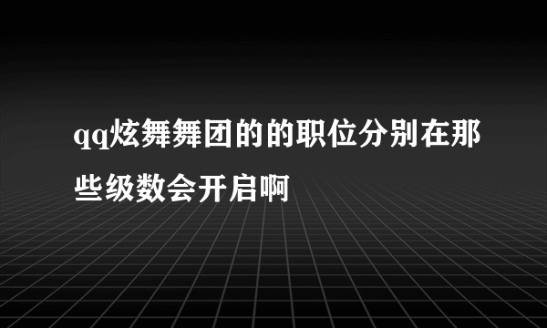 qq炫舞舞团的的职位分别在那些级数会开启啊