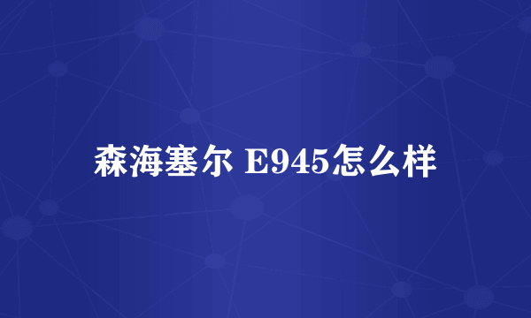 森海塞尔 E945怎么样