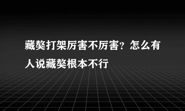 藏獒打架厉害不厉害？怎么有人说藏獒根本不行