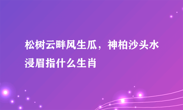 松树云畔风生瓜，神柏沙头水浸眉指什么生肖